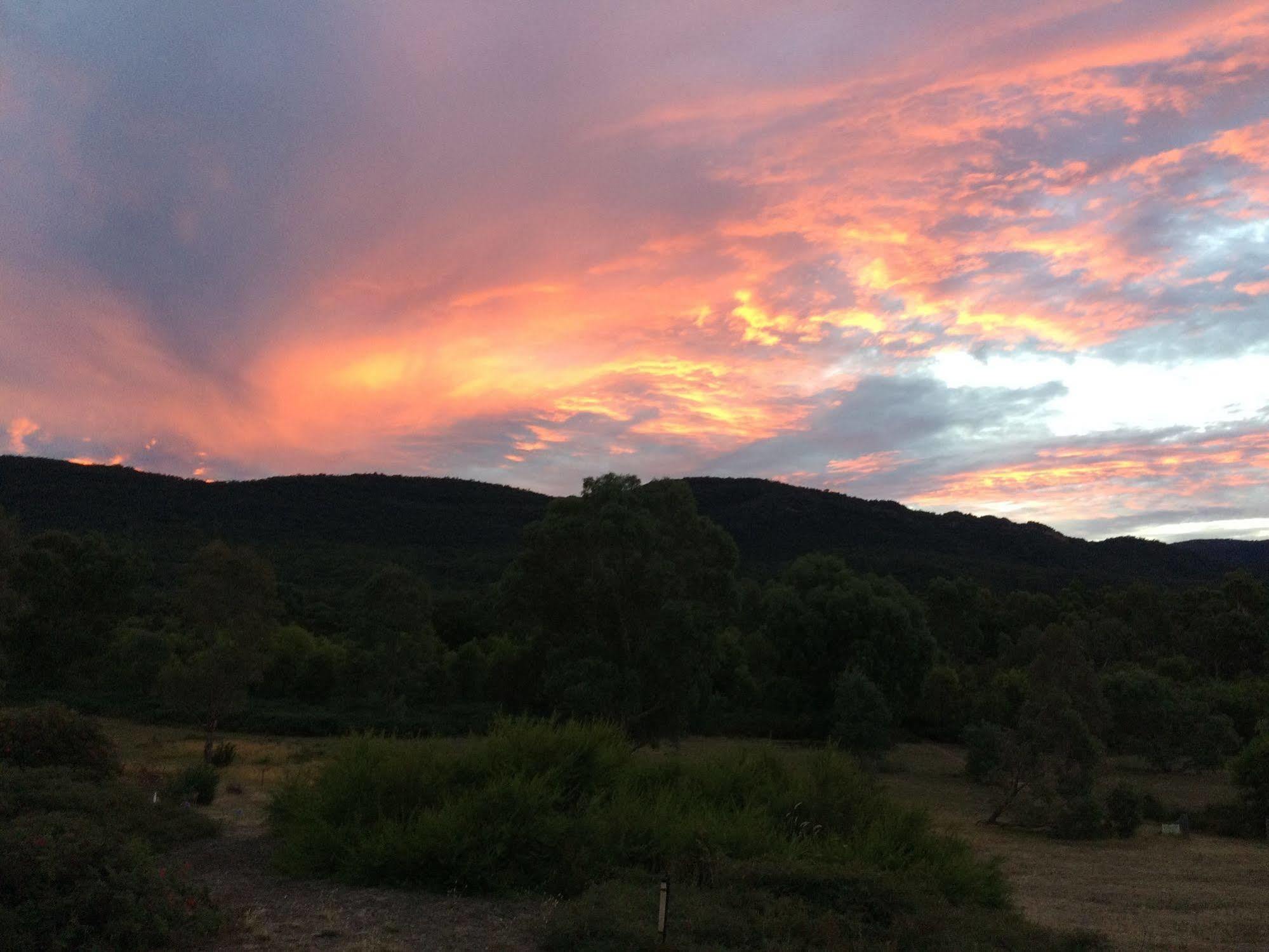 Grampians Pioneer Cottages Halls Gap Eksteriør billede